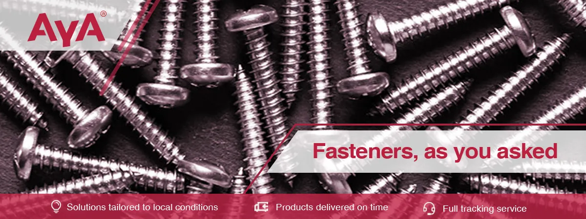 Self Tapping Screws-AYA